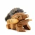Import Wooden Crafts Thailand Lucky Frog Decoration from China
