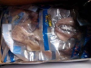 Zhoushan cuttlefish with nice package for gift bag