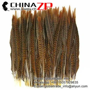 ZPDECOR Factory Wholesale 35-40cm Length Natural Golden Pheasant Tail Feathers for Parties Decorations