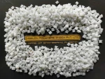Nylon 6 GF or unfilled