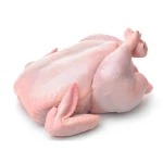 Quality Halal Frozen Whole Chicken Quality Wholesale Halal Frozen Whole Chicken Premium Quality