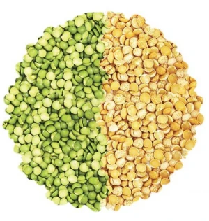 Premium Quality New stock Yellow Split Peas ready for export