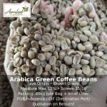Arabica Green Coffee Beans Java Origin Screen 15/16 Export Grade