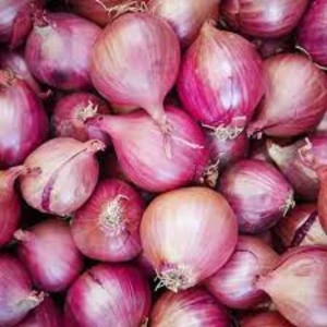 Vegetable Fresh Red Onions