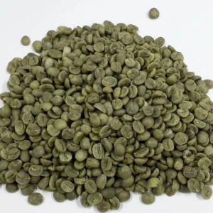 Exporting Premium Arabica Coffee – Kenyan High-Quality Coffee Beans