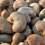 Import Dried Cashew Nuts from Lithuania