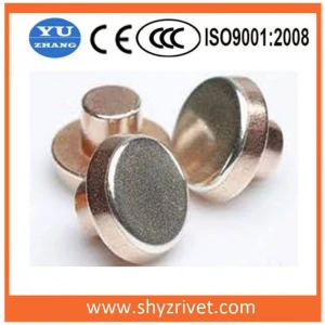 Silver Electrical Contacts for Switches