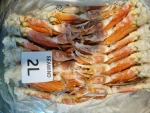 Frozen Snow Crab Section - 2L