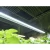 QG Veg. 6400K LED Grow Light for Leafy Plants