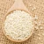 Import Top Quality Dry Sesame Seeds from Belgium