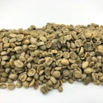High Quality Coffee Bean and Robusta Coffee Bean Factory Direct Price for Export Importers Global Trusted