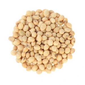 Non GMO Soybean India Bulk Export Quality Soy Beans Best Wholesale Price Healthy Yellow Soybean