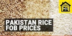 Rice from Pakistan