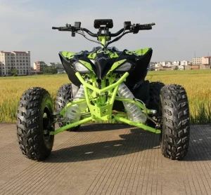 Used Dew Design Raptor Sport Electric Quad Bikes