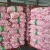 Import Fresh Pure Normal White Garlic from South Africa