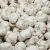 Import Fresh Pure Normal White Garlic from South Africa