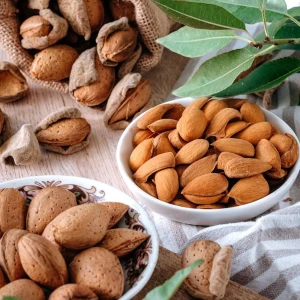 Premium Quality In-Shell Almonds – 2,000+ Tons Available from Azerbaijan