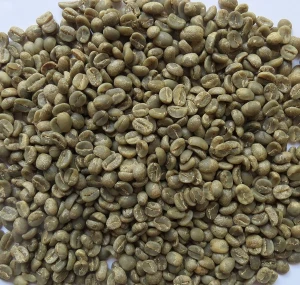 Export High Quality Arabica Green Coffee Beans