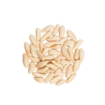 Wholesale Pine Nuts Healthy and Delicious Food Bulk Snacks Plain Large Grain Open Mouth Pine Nuts Snacks