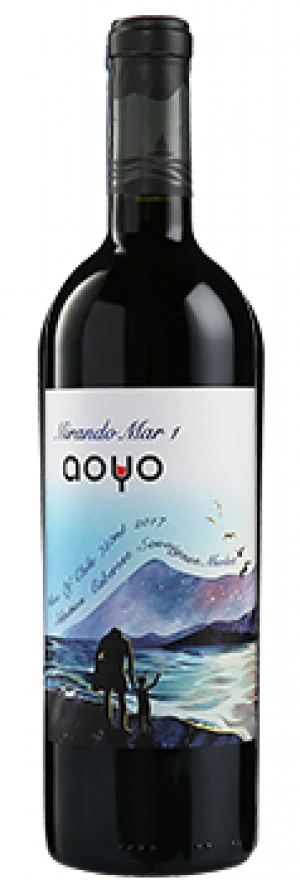 AOYO WATCH SEA RED WINE