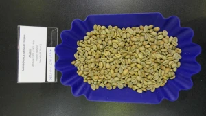 Indonesian Coffee Beans (NTT Arabica)