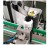 Import VK-RPL Automatic Round Bottle Labeling Machine (Cylinder Type) from China
