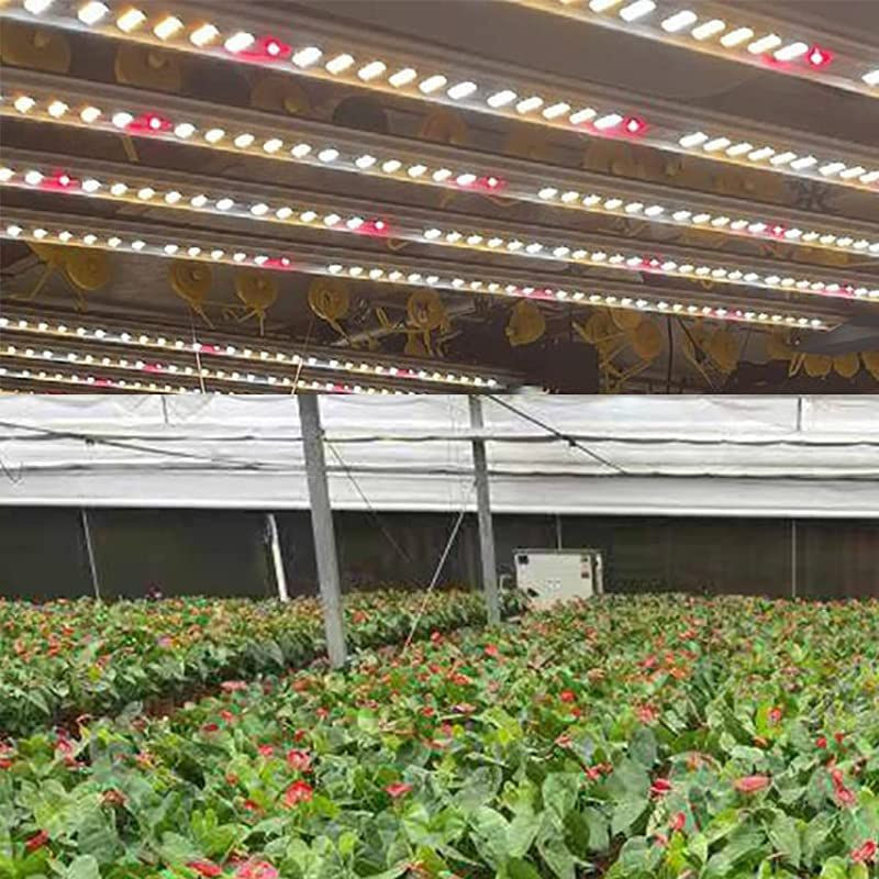 Buy Best 640w Lm281b Commercial Greenhouse Grow Light from Huaxin group ...