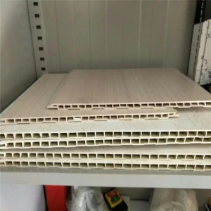 Wood PVC WPC wall panel profile extrusion machine