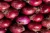 Import Fresh Onion from Nigeria