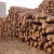 Import European White Ash Saw Logs from Spain