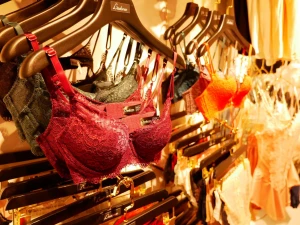 Women's Lingerie, Underwear, Panties, Bra Set, Swimwear, Invisible bra, Pajamas and Sleepwear Wholesale From Taiwan