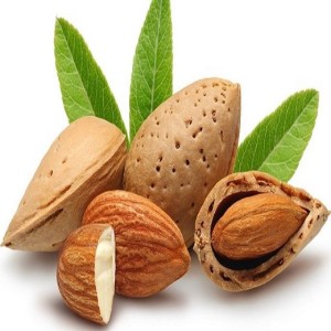 Wholesale Almond Nuts / Almond Nuts Raw Nutrition Organic Almond Nuts For Bake