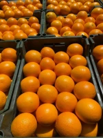 valencia orang
