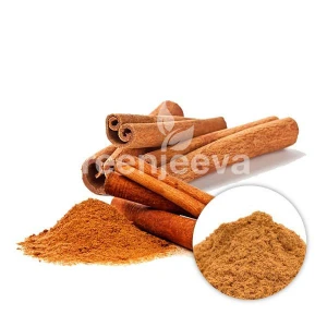 Organic Cassia Cinnamon Powder