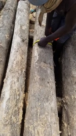 teak logs round/squared
