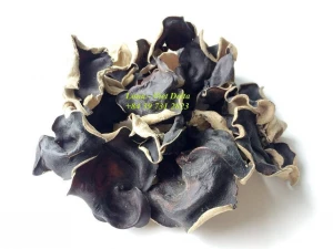 HIGH QUALITY DRIED BLACK FUNGUS VDELTA