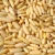 Import Fresh Pine Nuts Raw Natural Bulk Wholesale Sale Excellent Taste And Quality Perfect For Smoothies And Salads from Tanzania