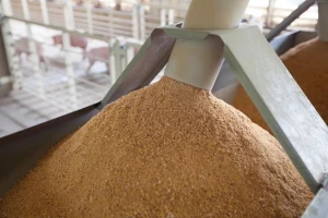 Top-Grade Soybean Meal Powder for Cattle, Poultry, and Aquaculture