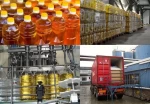 Sunflower Oil /100% Pure and Refined Edible Sunflower Cooking Oil/crude sunflower oil