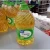 Import Sunflower Oil /100% Pure and Refined Edible Sunflower Cooking Oil/crude sunflower oil from Germany