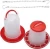 Import Poultry Automatic Animal Water Drinker PP Chicken Drinker Bucket For Chicken Ph-227 from China