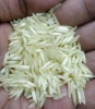 Rice, Basmati & Non Basmati, Broken