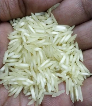 Rice, Basmati & Non Basmati, Broken