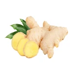 Organic Fresh Raw Ginger For Sale