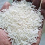 High Quality Thai Premium Jasmine White Vietnamese Rice Long Grain 5% Broken Perfume Manufacturer Direct 100% Export Ch