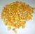Import Yellow Corn, Dry Yellow Maize from India