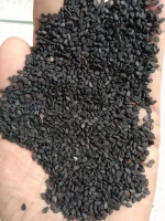 Sesame (Black And White), Chia seeds