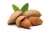 Import 100% Grade A High Nutritious Almond Nuts / Raw Natural Almond Nuts / Organic Bitter Almonds from Germany
