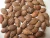 Import 100% Raw Malva Nuts for sale from Vietnam