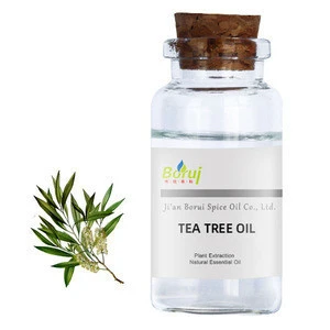 1kg Wholesale cheap bulk supply OEM 100% pure australian tea tree essential oil